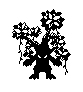 Ent 3